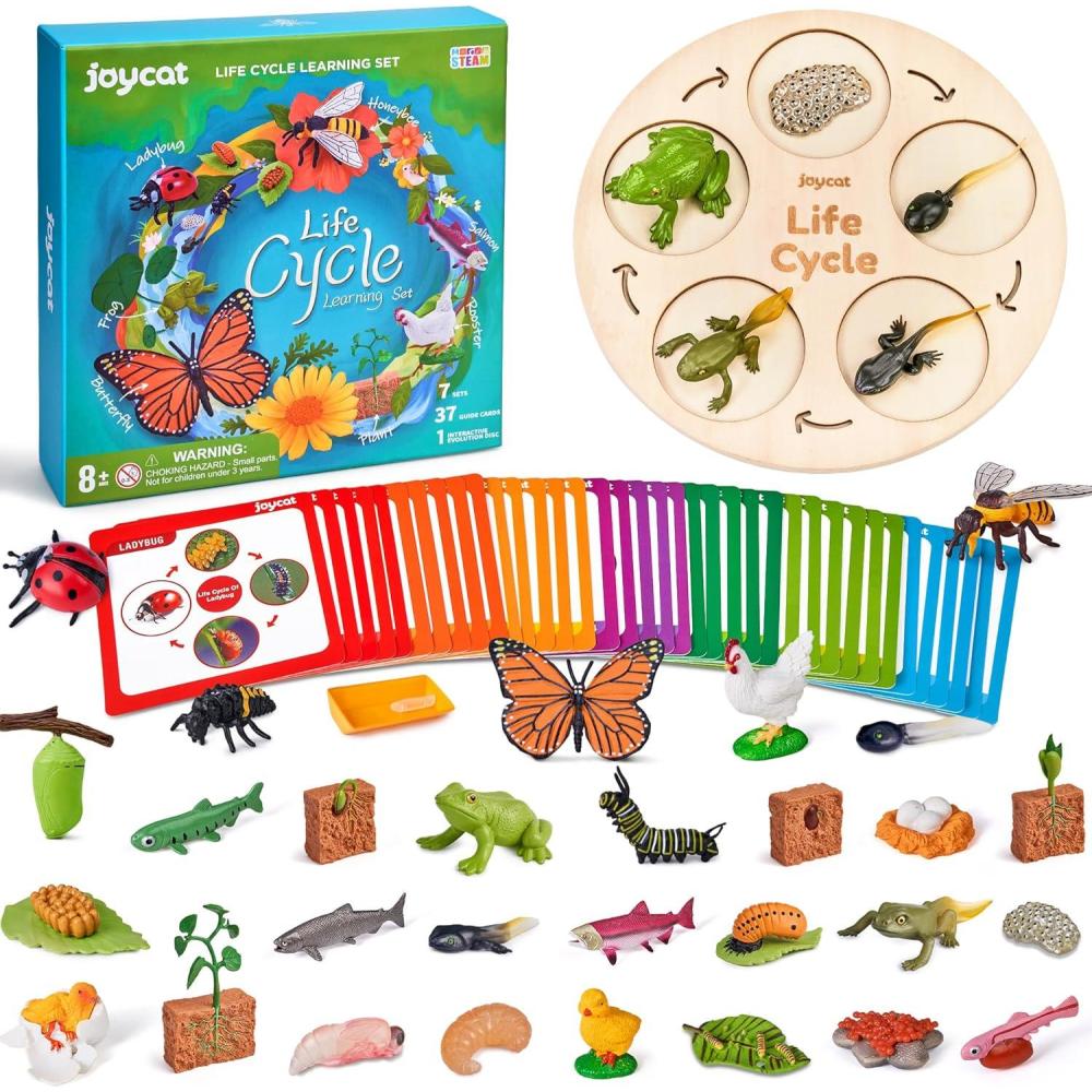 JoyCat Life Cycle Learning Education Toys, Insect Caterpillar to Butterfly kit, Ladybug, Bee, Tadpole to Frog Kit Life Cycle Toys for Kids, Preschool Learning Activities for Kids (Animals and Plant)