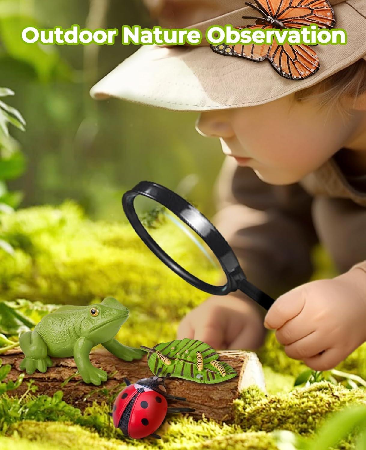 JoyCat Life Cycle Learning Education Toys, Insect Caterpillar to Butterfly kit, Ladybug, Bee, Tadpole to Frog Kit Life Cycle Toys for Kids, Preschool Learning Activities for Kids (Animals and Plant)