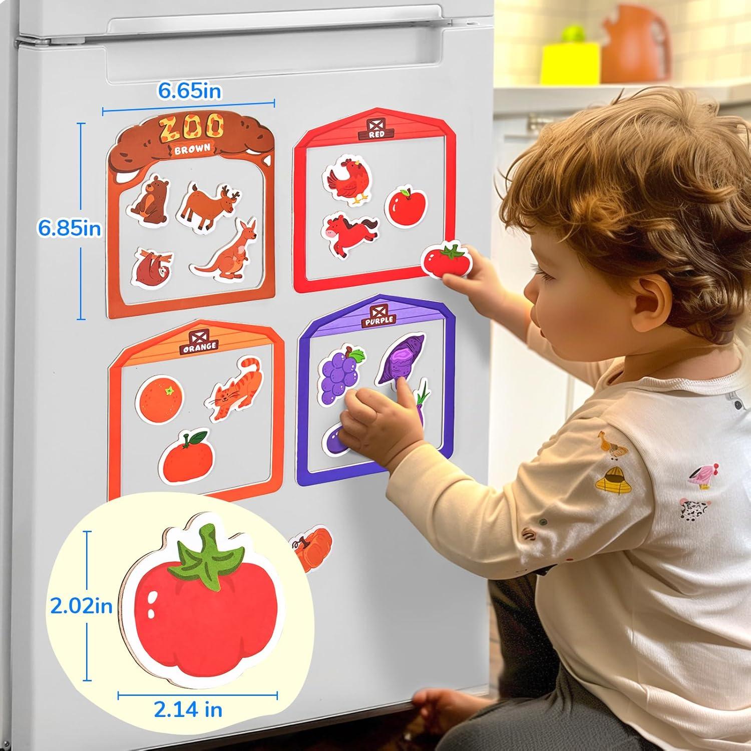 JoyCat Magnetic Letters + Color Sorting Sensory Toys, 10-Piece Wooden Magnetic Color Set for Toddlers