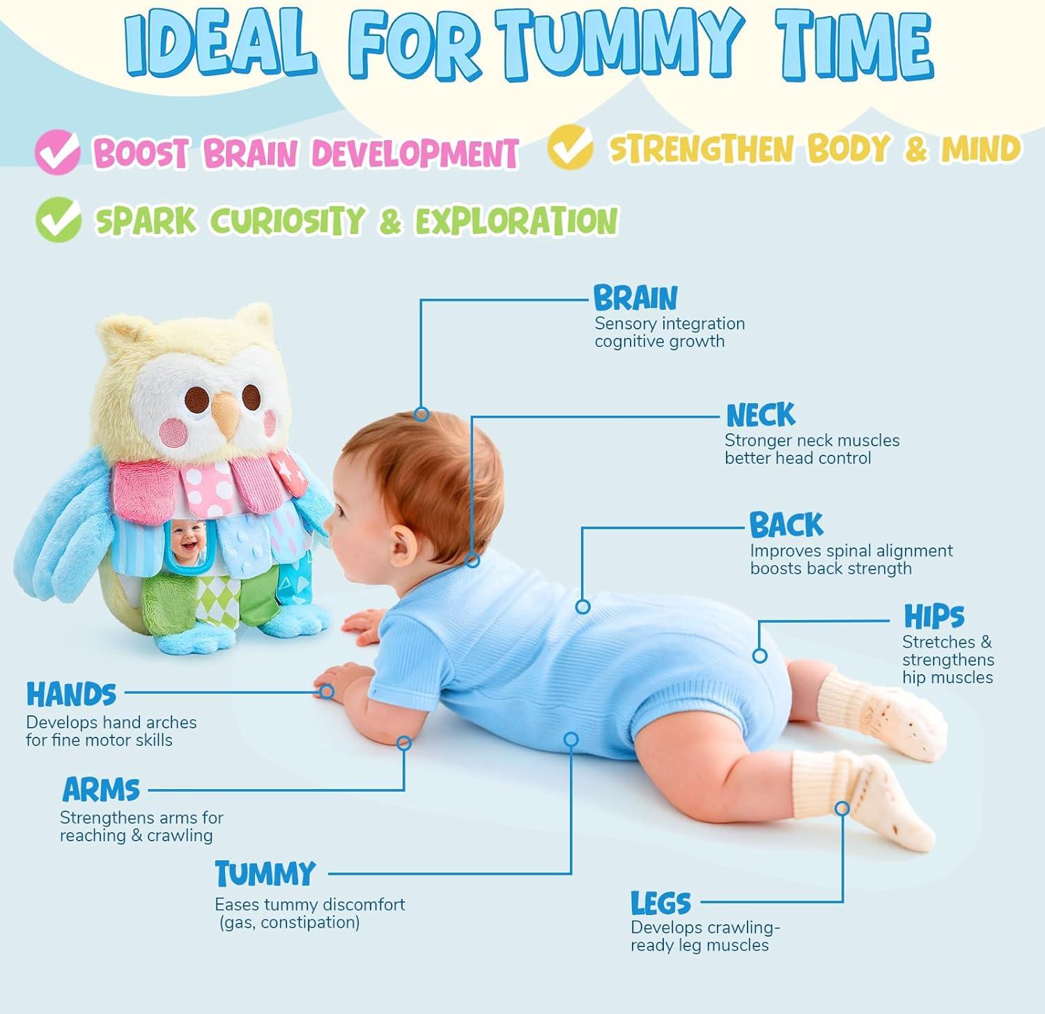 JoyCat Sensory Owl Baby Toy for 0-12 Months, 13Soft Tummy Time Infant Toy with Multi-Textured Crinkle Feathers, Baby Mirror, Stuffed Animal Plush Montessori Easter Gifts for Newborn Boys and Girls